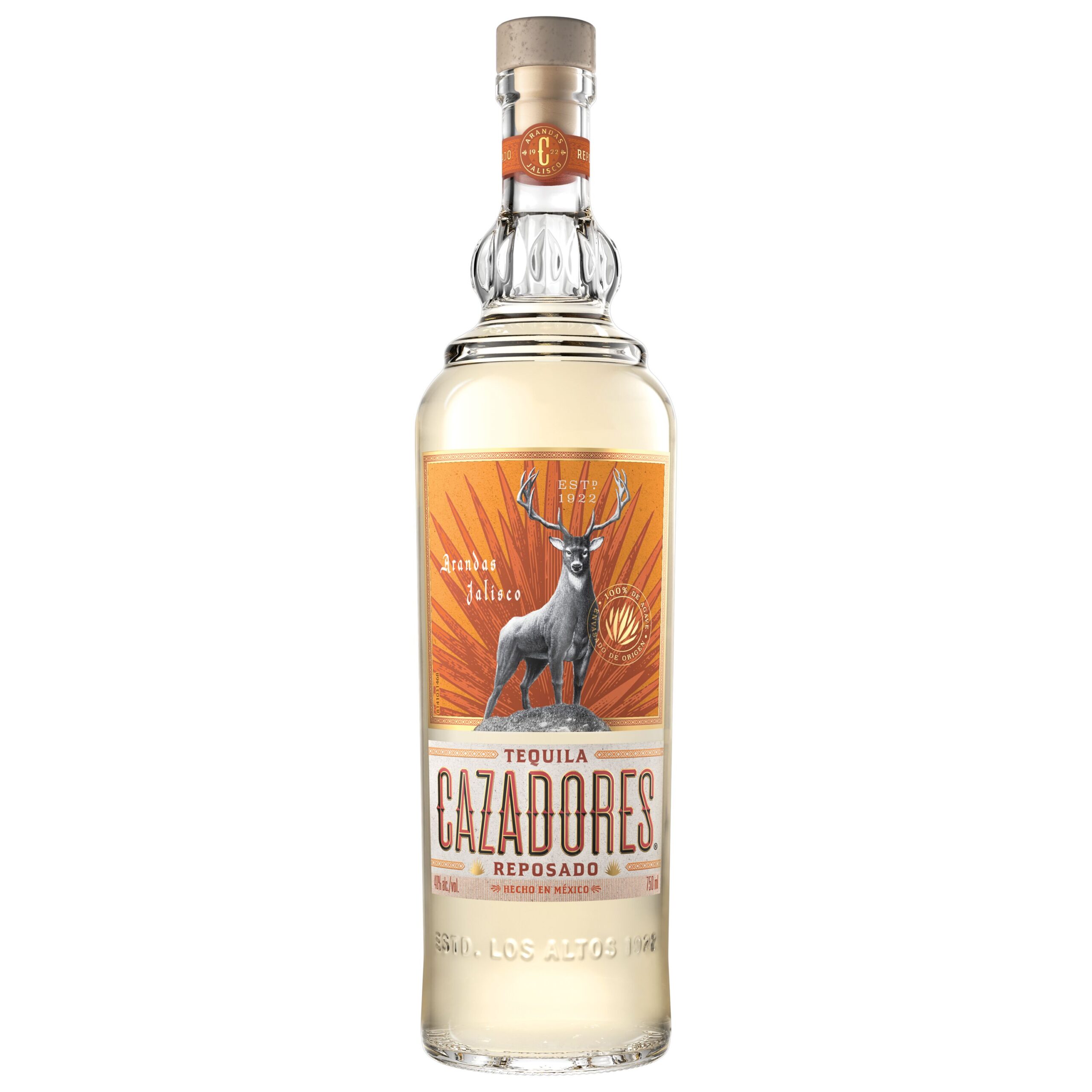 Bacardí Tequila Pal Norte 2025 Prepárate para flexear y bailar en el Oasis Bacardí del Pal